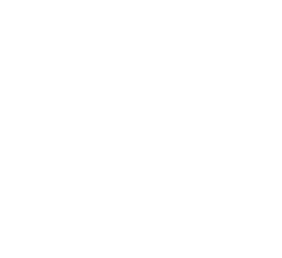 Link me company logo