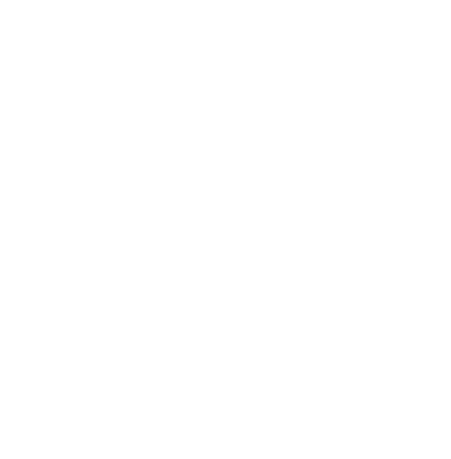 Link me company logo